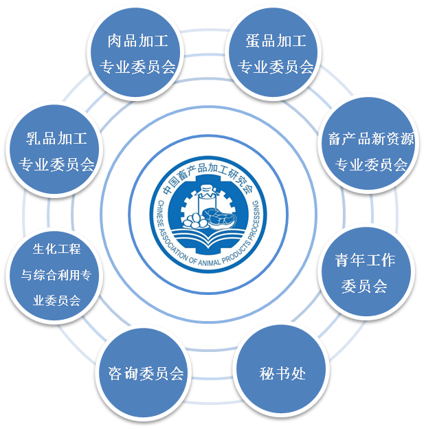 组织结构图.png