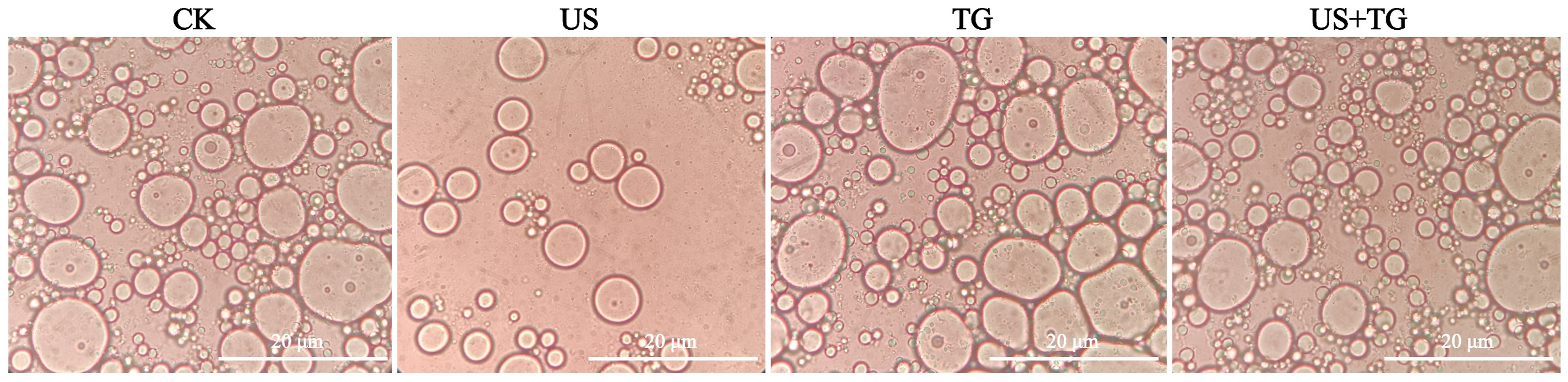 pm-4.jpg